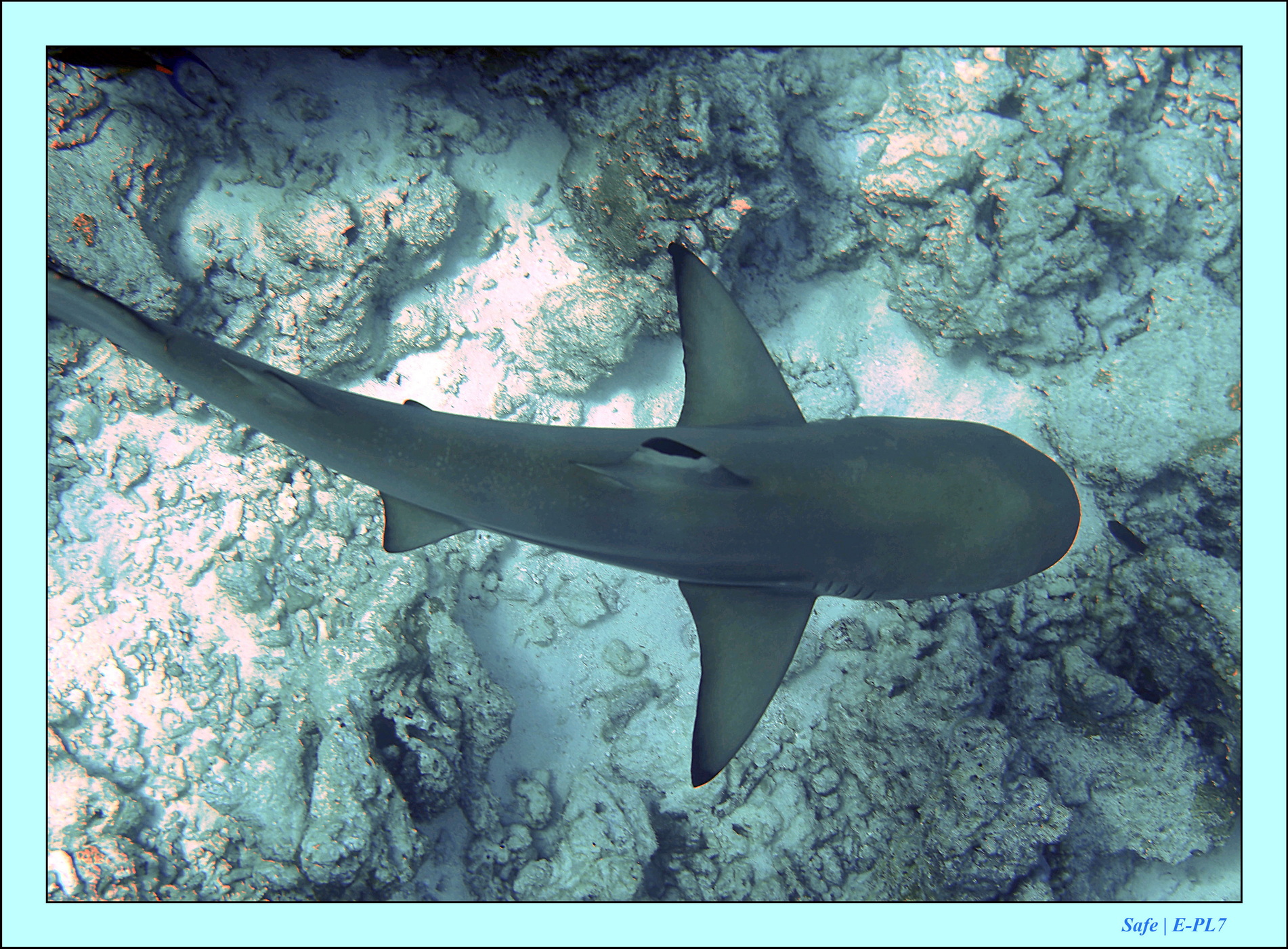 2023 - 07 - Sandies Bathala - 147